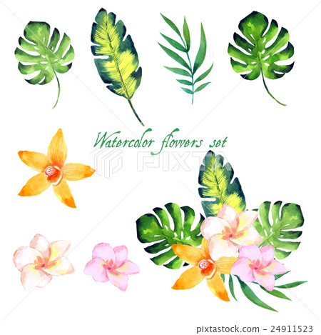 Watercolor floral set for your design. Watercolor floral set for your design. 24911523