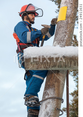 Electrician working on a power line pole 24911631