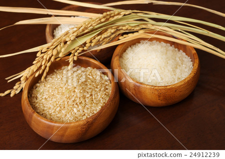 Brown rice, white rice and glutinous rice served in three rice varieties of autumn and rice innards Brown rice, white rice and glutinous rice served in three rice varieties of autumn and rice innards 24912239