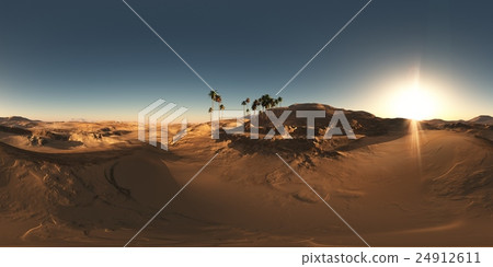 panorama of palms in desert at sunset. panorama of palms in desert at sunset. 24912611