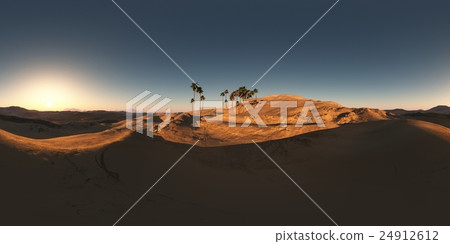 panorama of palms in desert at sunset. panorama of palms in desert at sunset. 24912612