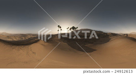 panorama of palms in desert at sunset. panorama of palms in desert at sunset. 24912613