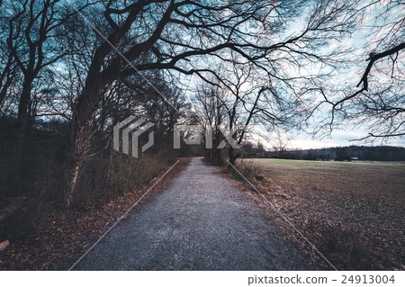 Dark alley at the park 24913004