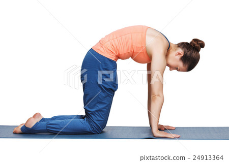 Beautiful sporty fit yogini woman practices yoga 24913364