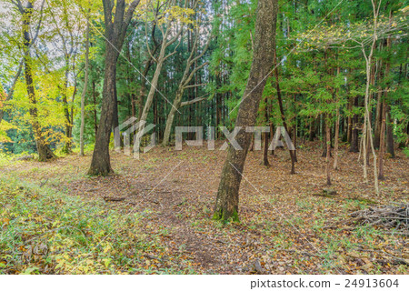 Iwaki城堡廢墟風景在秋天 24913604