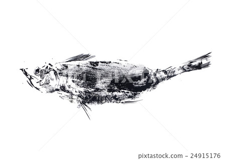 outline ink print on white ground, black fish 24915176