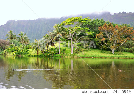 堆 許多 山峰 24915949