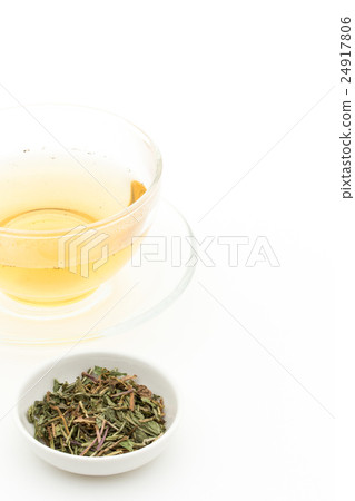 Tampopotie：蒲公英根茶 24917806