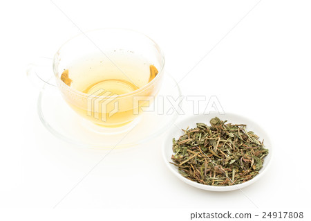 Tampopotie：蒲公英根茶 24917808