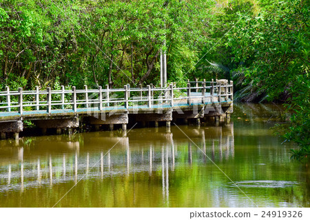 Bike way besides the canal at Bang Kachao Park 24919326