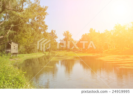 Pipa lake 24919995