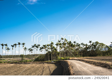 Road with nobody in countryside 24920041