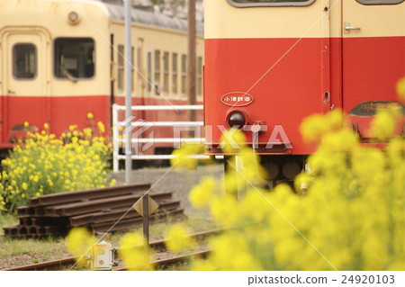 Kominato鐵路春天 24920103