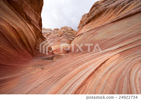 Wave The Wave美國的觀點 Wave The Wave美國的觀點 24922734