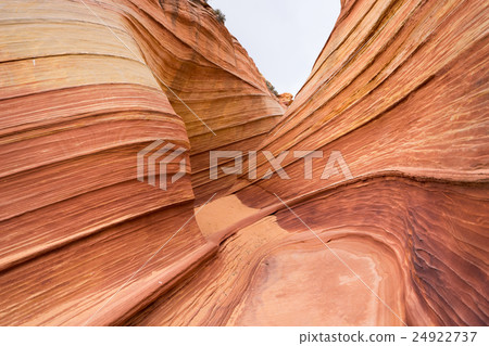 Wave The Wave美國的觀點 Wave The Wave美國的觀點 24922737