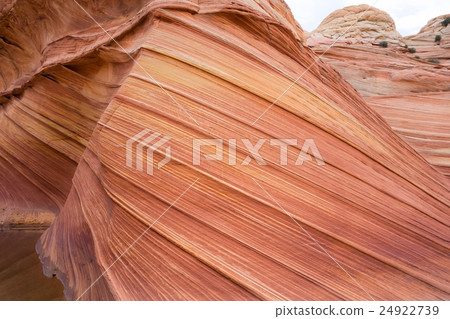 Wave The Wave美國的觀點 Wave The Wave美國的觀點 24922739