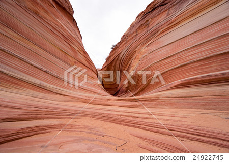 Wave The Wave美國的觀點 Wave The Wave美國的觀點 24922745