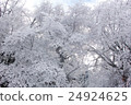 A tree 24924625