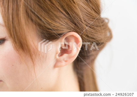 ear 24926107