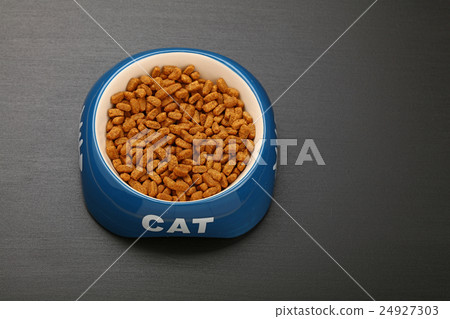 Dry cat food in ceramic bowl on black floor 24927303