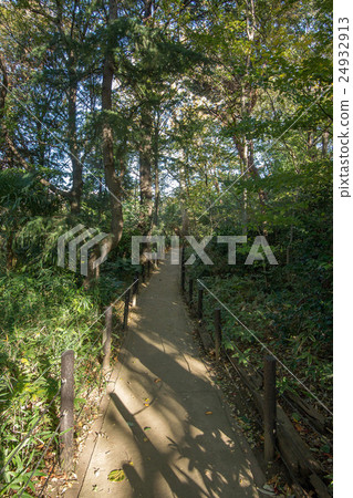 Komabano Park Komabano Park 24932913