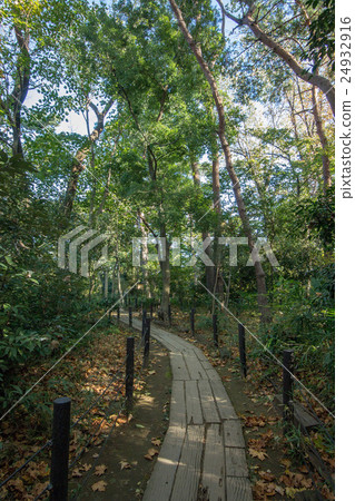 Komabano Park Komabano Park 24932916