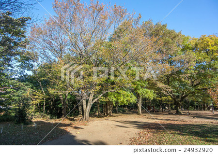 科馬巴諾公園 24932920