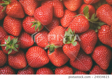 top view of freshly harvested strawberries 24934615