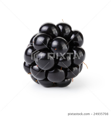 fresh blackberry berry isolated on white 24935708