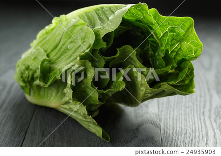 fresh romain green salad on wood table fresh romain green salad on wood table 24935903