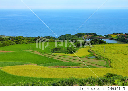 Tohoda場稻米露台 Tohoda場稻米露台 24936145