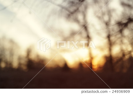 blurred background with park in early spring blurred background with park in early spring 24936909