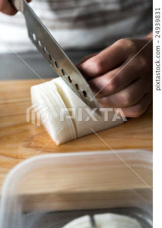 日本蘿蔔 24939831