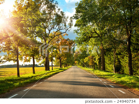 alley in autumn 24940734