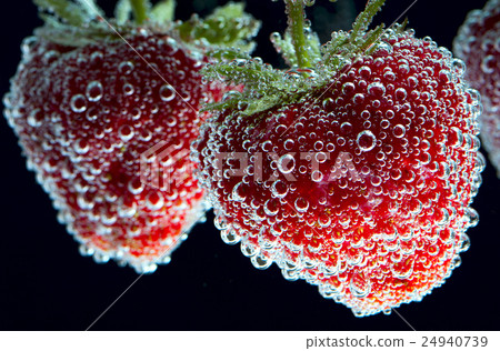 Fresh strawberries with water bubbles Fresh strawberries with water bubbles 24940739