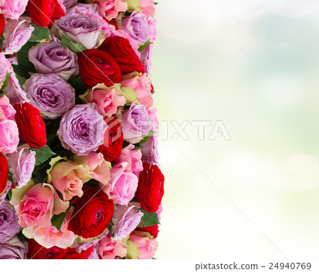 bouquet of fresh roses and ranunculus 24940769