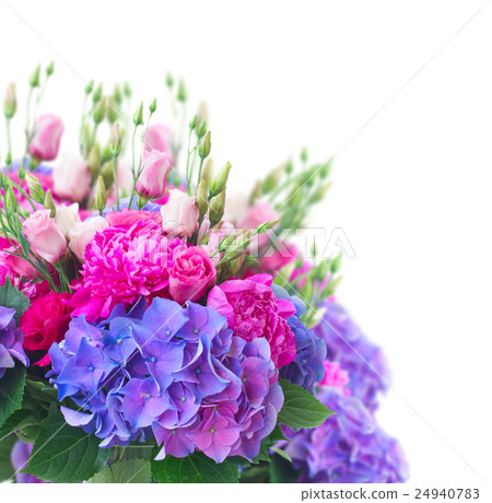 Bright pink and blue flowers 24940783