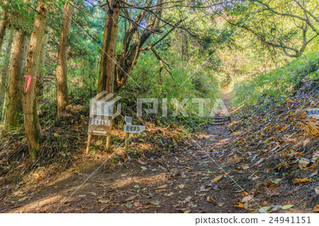 Iwaki城堡廢墟風景在秋天 Iwaki城堡廢墟風景在秋天 24941151