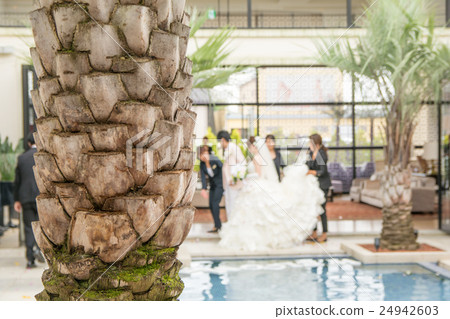 婚禮圖像 24942603