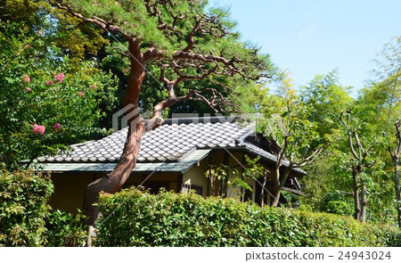 Shotoen at Ikegami Honmonji Temple 24943024