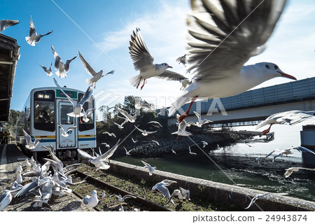 Birds and stations Birds and stations 24943874