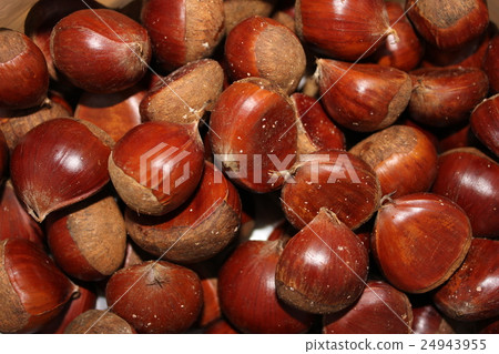 板栗栗子奶油* Maron▲* 板栗栗子奶油* Maron▲* 24943955