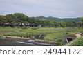 Kamogawa 24944122