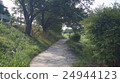 Path 24944123