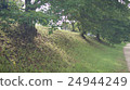 Kamogawa tree 24944249