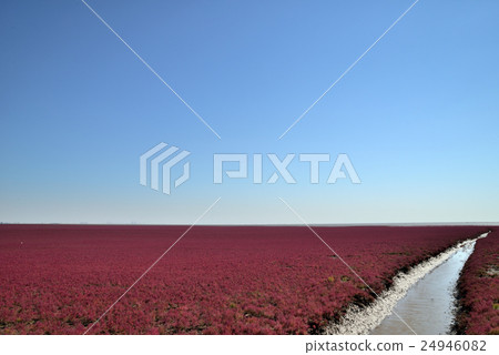 A red sea spreading all over China Liaoning Province A red sea spreading all over China Liaoning Province 24946082