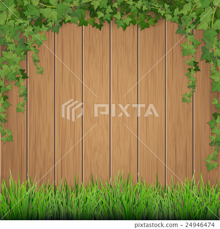Grass and hanging ivy on wooden background. 24946474