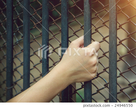 Asian woman's hand holding a Steel custody. Asian woman's hand holding a Steel custody. 24946550