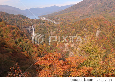 Kinkaku's Kegon Waterfall 24947243