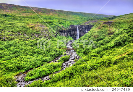 View of Svartifoss meaning Black Falls, Iceland 24947489